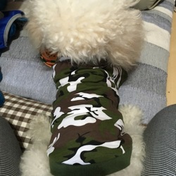 ちょっと早いお誕生日プレゼント①