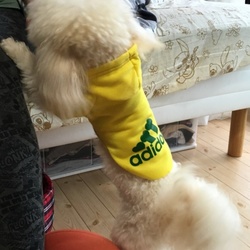 ちょっと早いお誕生日プレゼント ②