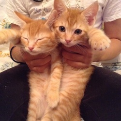 「見分けがつかない(･･;)」サムネイル3