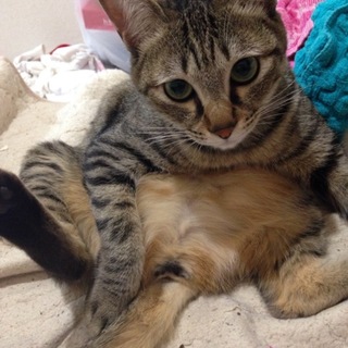 この子にとって素敵な出会いがありますように。