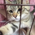 やんちゃ兄弟