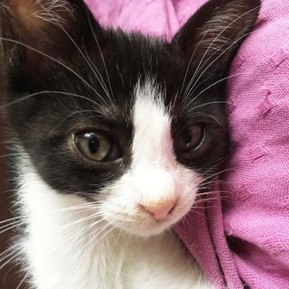 白黒パミちゃん