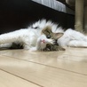 身体が柔らかすぎです( ´ ▽ ` )ﾉ
