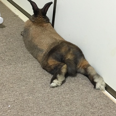 まったり
