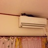 の写真