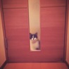 の写真