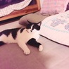 の写真