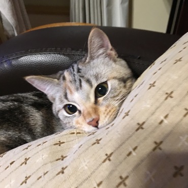 にこの写真