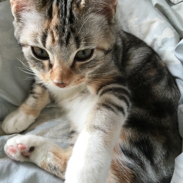 にこの写真