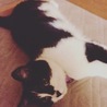 たび
