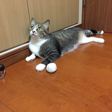 まだ遊びたい。