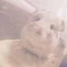 砂遊び中です( ˘ω˘ )