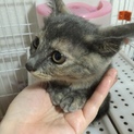 とても素敵なご夫婦の家族となりました☆
