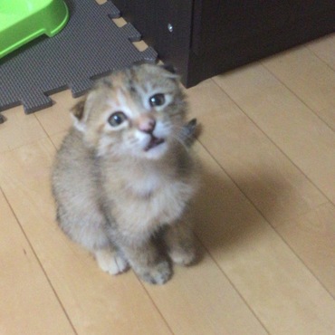 餌待ち小僧（笑）