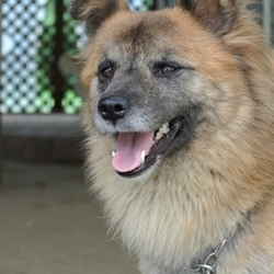 雨上がりのお散歩