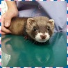 たくさんのご応募ありがとうございました。 サムネイル1