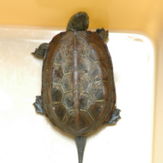 ご希望に沿えなかった皆さま、申し訳ございません。