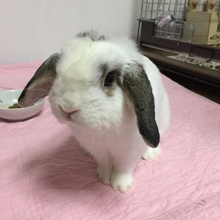 ありがとうございました。