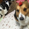 おいちゆ