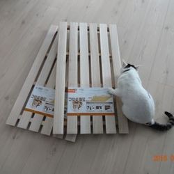 「トムさん、スキあらばＤＩＹ　前篇」サムネイル1