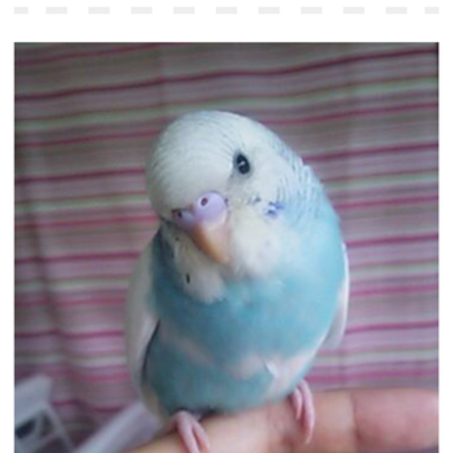 もこ&のカバー写真