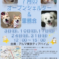 ティアハイムオープンシェルター里親会 サムネイル2