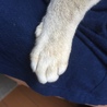 すなすなふきん