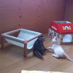 教育係に任命～☆