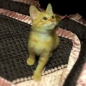 イケメン君です♪