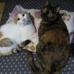 勘弁して下さいな…