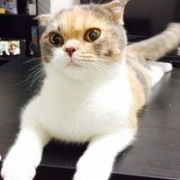 まる