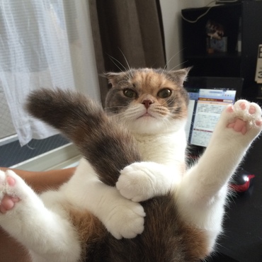 安心してください、見せません！