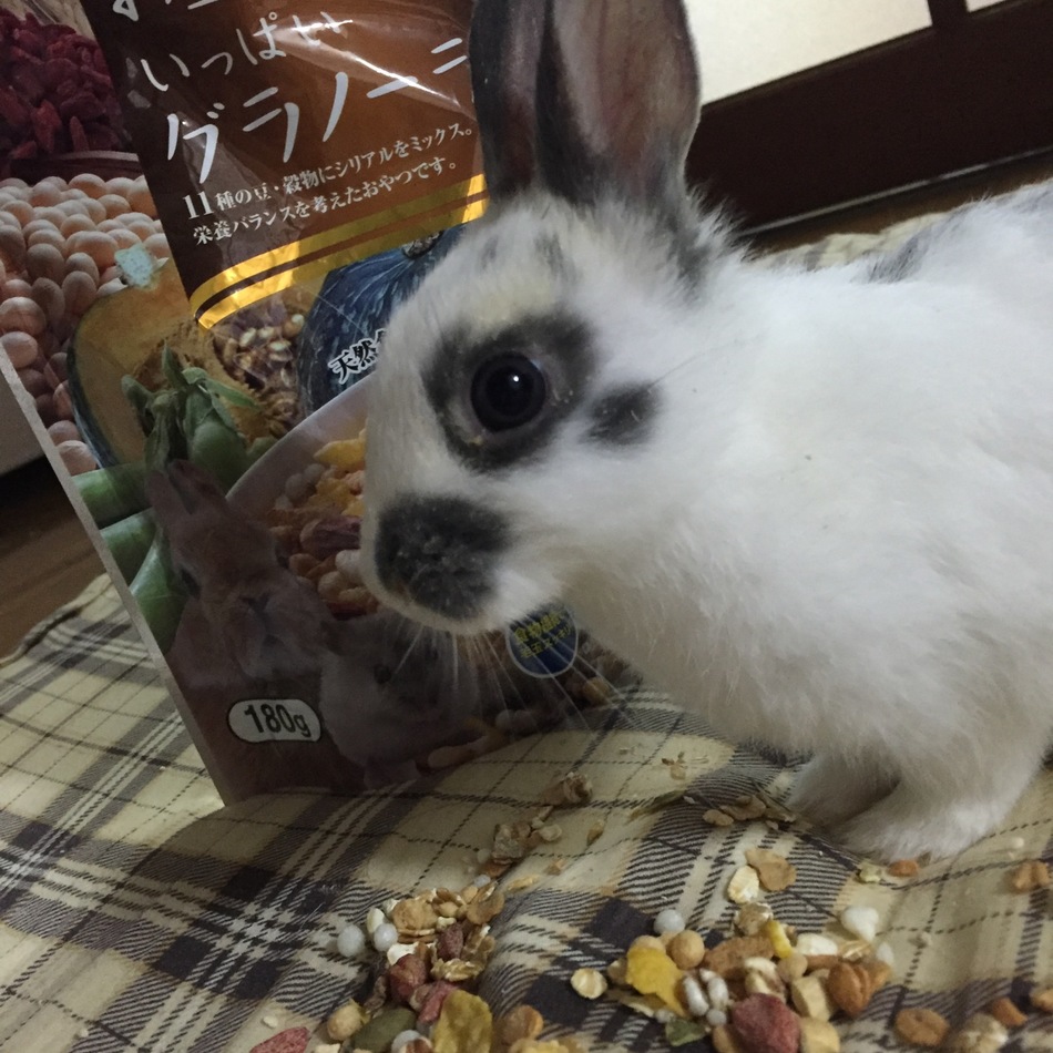 るりおのカバー写真