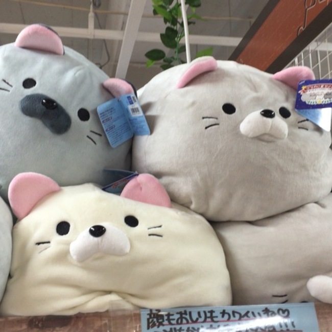 さほんのカバー写真