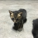 幸せにしてあげて下さい(o^^o)