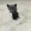 幸せにしてあげて下さい(o^^o)