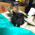 幸せにしてあげて下さい(o^^o)