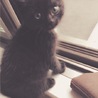 小鶴