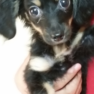 応募者が多数な為、一時停止します。