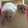 お腹すいたよー！！