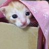 来た当初！