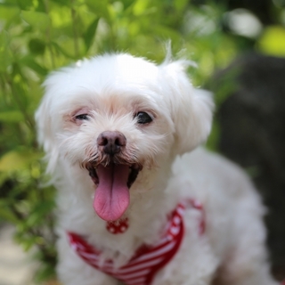 笑顔が自慢のニコちゃん！