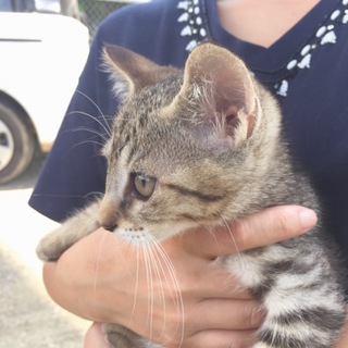 推定4ヵ月　人が大好き男の子♪