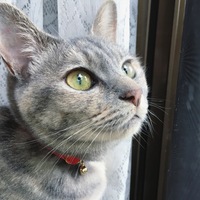 もっぷ