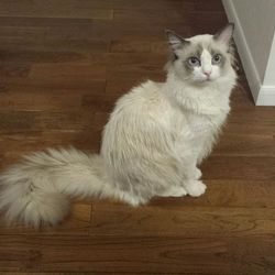 「家族が増えました」サムネイル2