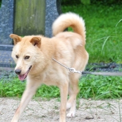 まだ脱皮中のカンジ君