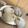 の写真