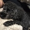 腕枕で眠るの大好き