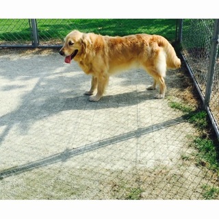 素敵な方に決まりました。