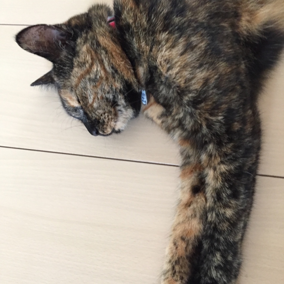 もんじゃのカバー写真